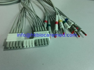 Китай Leadwires кабеля 10 Mortara совместимые EKG для Mortara WAM, конца банана поставщик